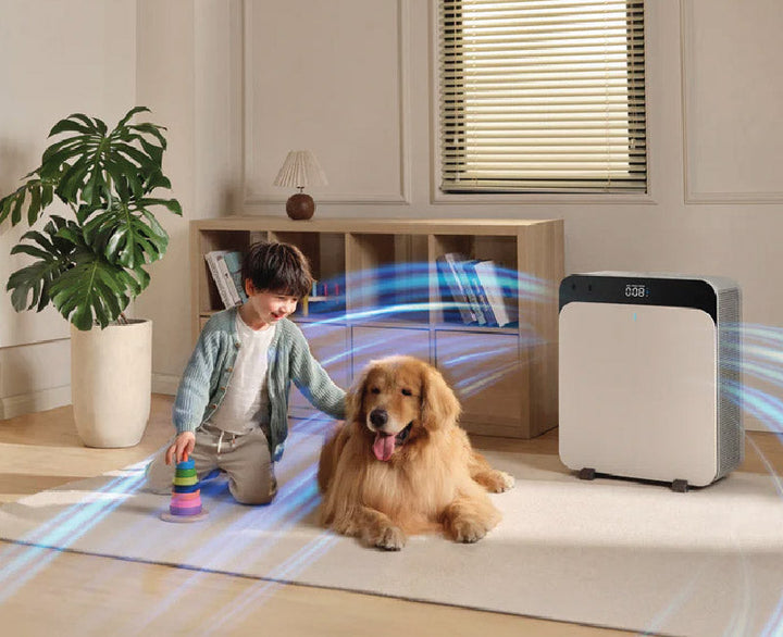 Top Reasons To Get A Blueair Air Purifier In Dubai