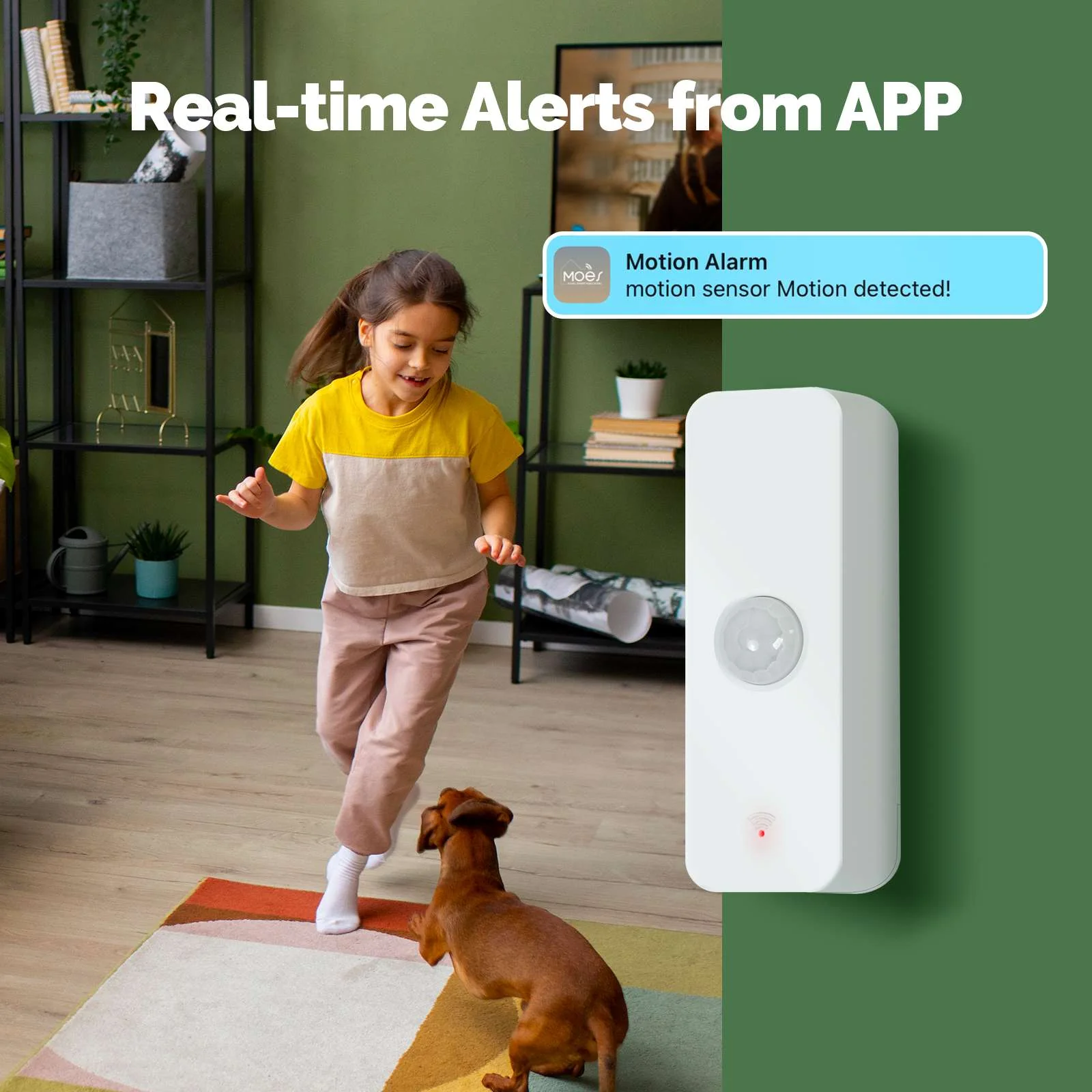Smart PIR Sensor Human Body Motion Detector Home Security and Scene Linkage Automation 2
